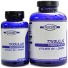 Fitsport Tribulus Terrestris 90% + B6 + Zinek 240 kapslí