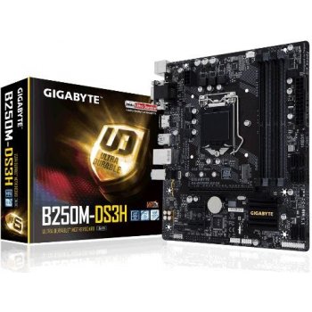 Gigabyte B250M-DS3H