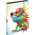 Karton P+P A4 Jumbo Chameleon 1-46725 – Zbozi.Blesk.cz