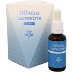 Tribulus terestris Forte 30 ml – Hledejceny.cz