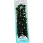 Tetra rostlina Green Cabomba Plus 38 cm – Zboží Mobilmania