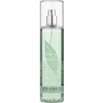 Elizabeth Arden Green Tea tělový závoj 236 ml – Hledejceny.cz