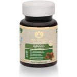 Maharishi Ayurveda Guggul 60 tablet – Hledejceny.cz