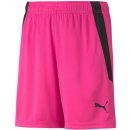 Puma teamLIGA Shorts Jr