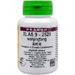 Pragon XLA5.9 wenjingtang 36 tablet – Hledejceny.cz