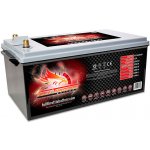 Fullriver Full Throttle 12V 225Ah 1450A FT1450-8D – Zbozi.Blesk.cz