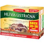 Terezia Company Hlíva ústřičná s rakyt.olejem 30 + 30 kapslí – Hledejceny.cz