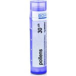 POLLENS POR 30CH GRA 1X4G – Hledejceny.cz
