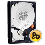 WD RE4 250GB, SATA, 7200rpm, 64MB, WD2503ABYX – Hledejceny.cz