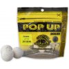 Návnada a nástraha Carp Servis Václavík Pop Up Boilies 40g 12mm Česnek