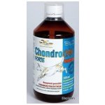 Orling Chondrocan Forte Biosol 500 ml – Hledejceny.cz