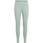 ICEBREAKER Wmns 200 Oasis Leggings Moss – Zboží Dáma