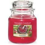 Yankee Candle Red Raspberry 411 g – Zbozi.Blesk.cz