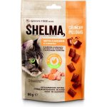 Shelma snack GF kočka polštářky hovězí / borůvka 60 g – Hledejceny.cz