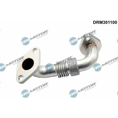 Dr.Motor Automotive DRM301100 – Hledejceny.cz