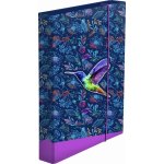 Karton P+P A4 Jumbo Kolibřík 8-76322 – Zboží Mobilmania