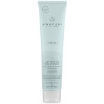 Paul Mitchell Awapuchi Wild Ginger Keratin Intensive Treatment 500 ml – Hledejceny.cz