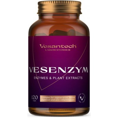 Vesantech Enzymes Vesenzym 120 kapslí – Hledejceny.cz