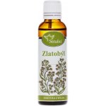 Serafin byliny Zlatobýl tinktura z bylin 50 ml – Hledejceny.cz