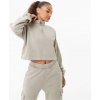 Dámská mikina Everlast Crop Zip Up Ld34 Opal Grey