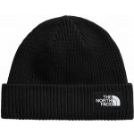 The North Face Salty Lined beanie NF0A8CGZ-JK tnf black – Hledejceny.cz