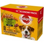 Pedigree Vital protection v želé 4 druhy masa 12 x 100 g – Zbozi.Blesk.cz