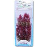 Tetra rostlina Red Foxtail Plus 23 cm – Hledejceny.cz