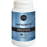 FYTO Saw Palmetto prostata 90 kapslí – Hledejceny.cz