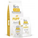 Recenze Brit Care Puppy Lamb & Rice 12 kg