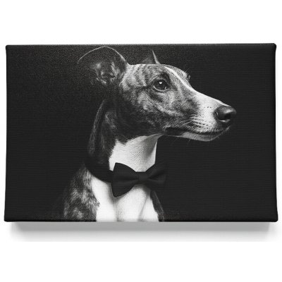 KRAFTHOUSE.EU Váš mazlíček v Prémiovém stylu – obraz na plátno Premium Canvas | Různé rozměry Velikost: 70 x 50 cm – Zboží Mobilmania