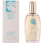 Elizabeth Arden Blue Grass parfémovaná voda dámská 100 ml – Hledejceny.cz