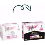 Purina Feline UR Urinary Salmon 10 x 85 g – Sleviste.cz