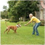 Petsafe Bezdrátový ohradník pro psy Stay + Play – Zboží Mobilmania
