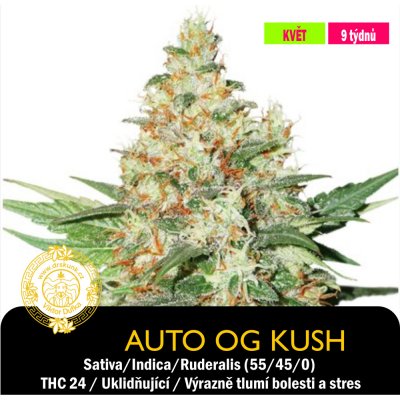 Drskunk Auto Og Kush Feminizováno semena neobsahují THC 1 ks – Zboží Dáma