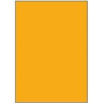 Rayfilm R0133 fluo oranžové etikety A4 210x297mm 100 listů – Hledejceny.cz