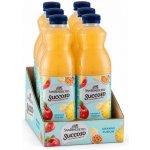 San Benedetto ovocný nápoj Succoso Ananas Fusion 6 x 1,5 l – Hledejceny.cz