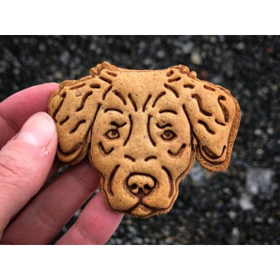 TVOŘÍTKO Nova Scotia Duck Tolling Retriever IV - vykrajovátko – Hledejceny.cz