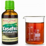 Bylinné kapky Pavlovy Kosatec pestrobarevný tinktura 50 ml – Hledejceny.cz