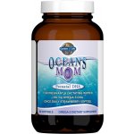 Garden of Life Oceans Prenatální DHA Omega-3 350 mg 30 kapslí jahoda – Hledejceny.cz