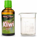 Bylinné kapky Gemmoterapie Kiwi pupeny tinktura z pupenů 50 ml – Hledejceny.cz