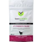 VetriScience UT Strenght Everyday moč. cesty koček 90 g – Zboží Dáma