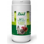 REAVET Vitalita číslo 1 pro posílení vitality drůbeže 1,2 kg – Hledejceny.cz