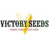 Semena konopí Victory Seeds Auto NHL Diesel semena neobsahují THC 10 ks