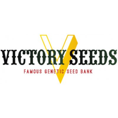 Victory Seeds Auto White Widow semena neobsahují THC 10 ks