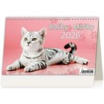 Stolní Kočky/Mačky 2026 – Sleviste.cz