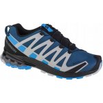 Salomon XA Pro 3D v8 GTX M L41629200 Legion blue /Blithe/Pearl blue – Zboží Dáma