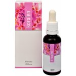 Energy Korolen 30 ml – Hledejceny.cz