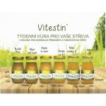 Natura Imuneco Vitestin 6 x 390 ml – Hledejceny.cz