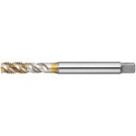 M8 SG SP Form E HSS-PM DIN 371 Spiral Tap – Hledejceny.cz