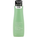 DAENG GI MEO RI Look At Hair Loss Minticcino Deep Cooling Treatment vlasová péče na mastné vlasy 500 ml – Hledejceny.cz